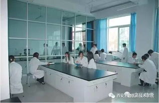 我的教育情懷 西安生物醫藥技術學院發展規劃與生物技術開發